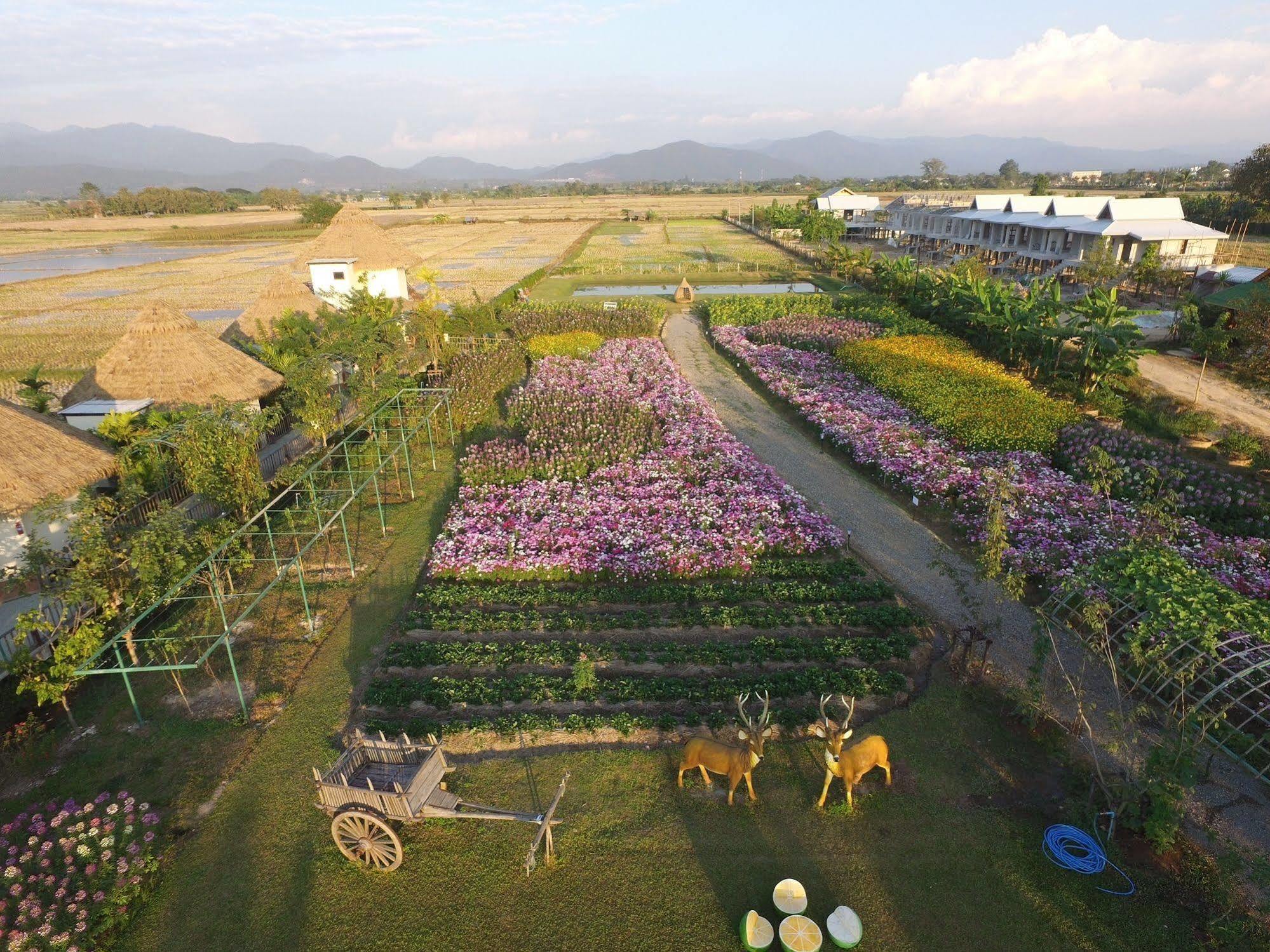 Phusanfah Resort Mae Taeng Exteriör bild