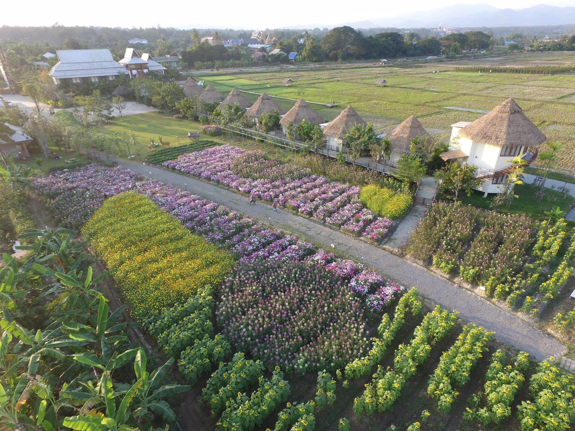 Phusanfah Resort Mae Taeng Exteriör bild